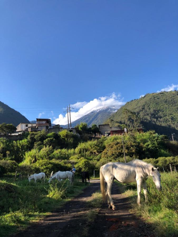 Premium Holiday Cabin - Spectacular Tungurahua Volcano View Баньйос Екстер'єр фото